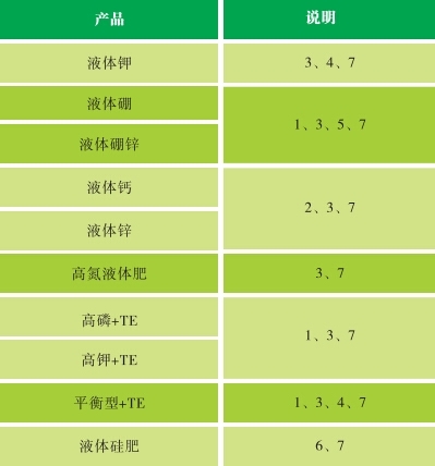 2024新澳门开门奖结果历史记录